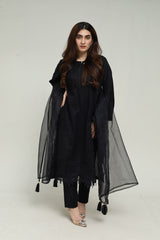 Midnight Charm – Stitched Embroidered Lawn 3 Piece